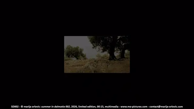 SD002 summer of dalmatia 002